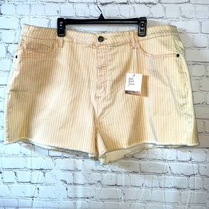 22W Lauren Conrad cut off striped shorts 5 pocket jean style. High rise.